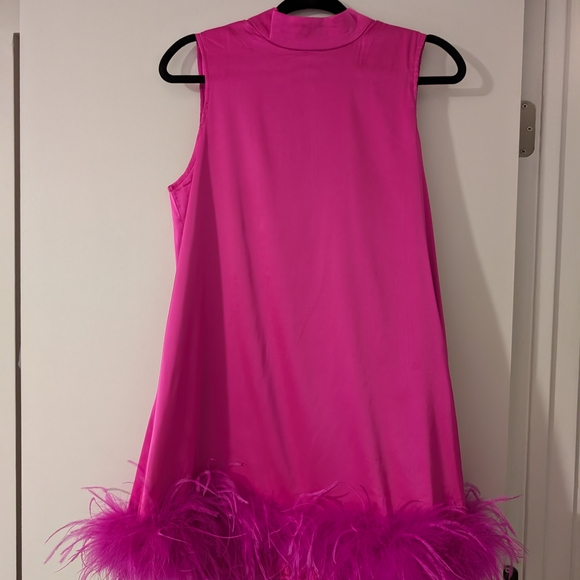 Fashion Nova Dresses & Skirts - Fashion Nova Pink Feather Hem Dress